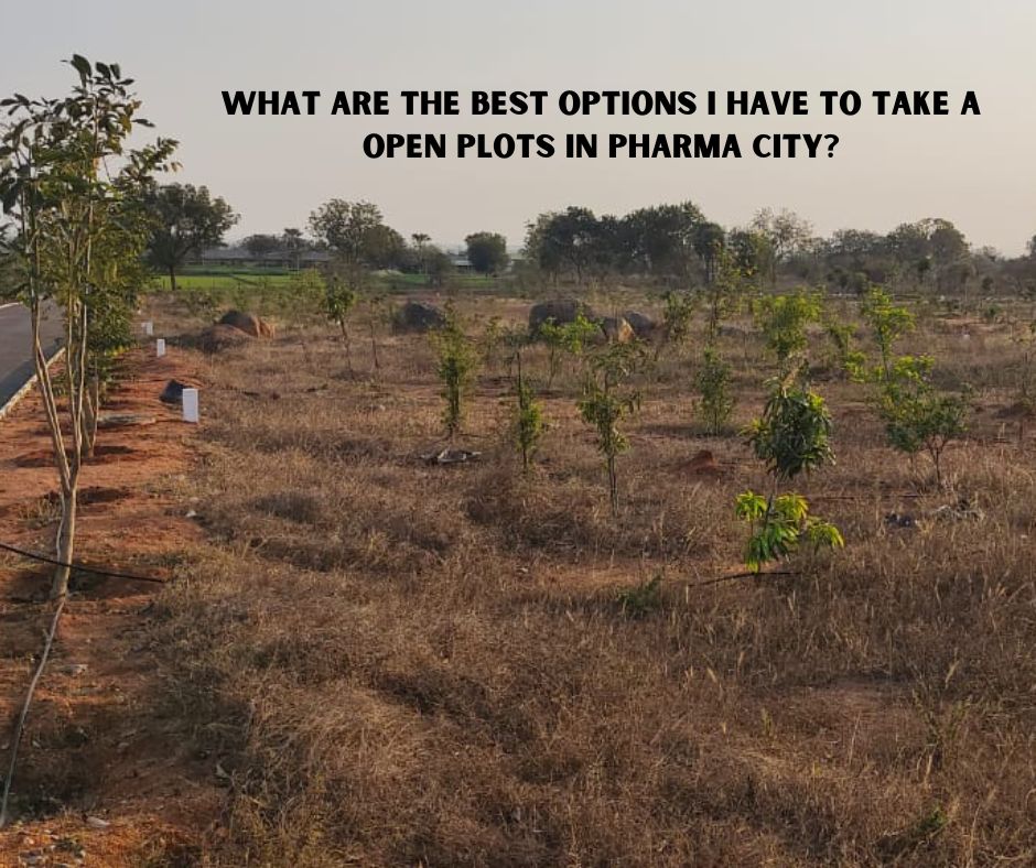 <strong>What Are The Best Options I Have To Take A Open Plots In Pharma City?</strong>